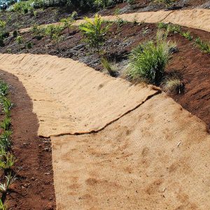Soil Erosion Control